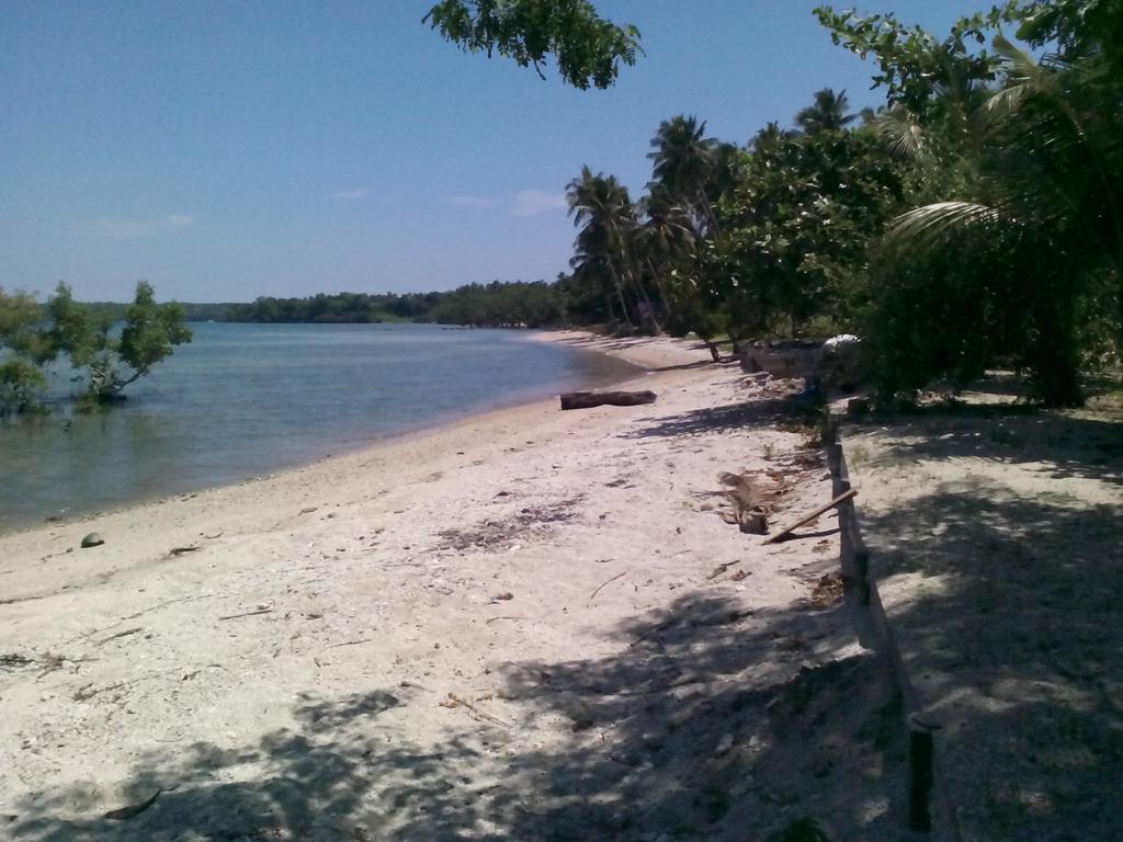 Buco Beach Resort Siquijor Exteriér fotografie